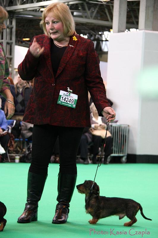 Crufts2011_2 923.jpg